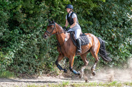 Late-Entry-Vielseitigkeit Langenfeld (11.+13./14.06.2020)