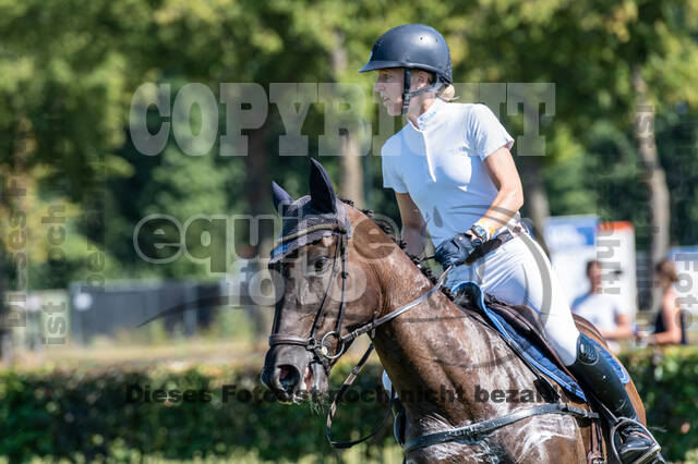 Kronenberg - De Peelbergen (August 2020)