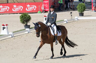 FEI European Championship Eventing 2017