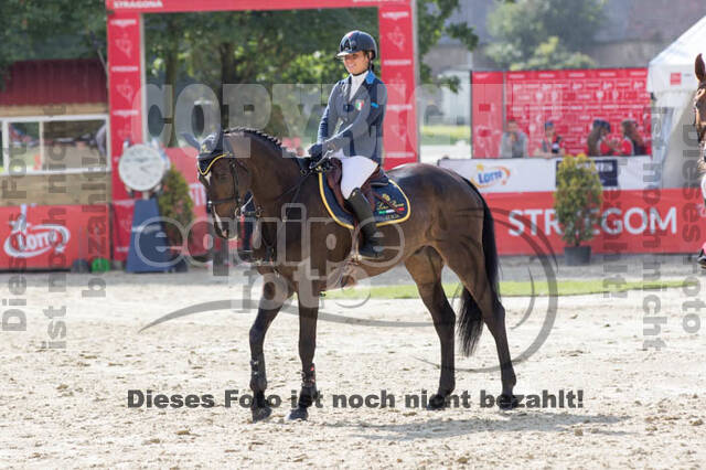 FEI European Championship