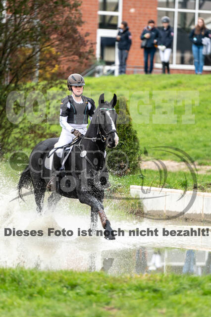 Goldene Schärpe 2020 - Pferde