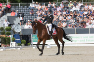 FEI European Championship Eventing 2019