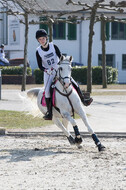 Eventing Langenfeld 2018