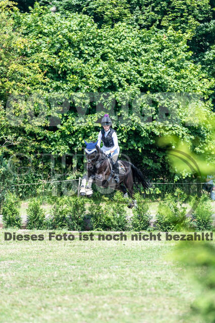 Goldene Schärpe 2021 - Ponys