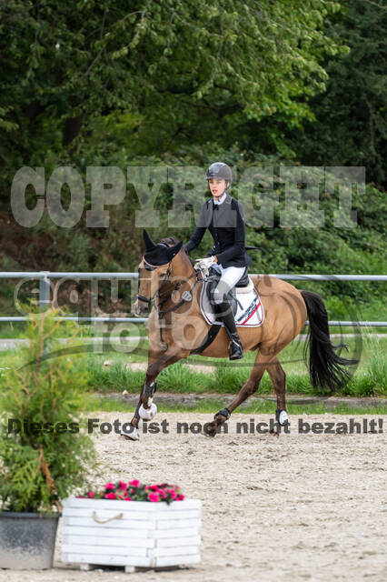 Late-Entry-Vielseitigkeit Langenfeld (06.+07.07.2020)