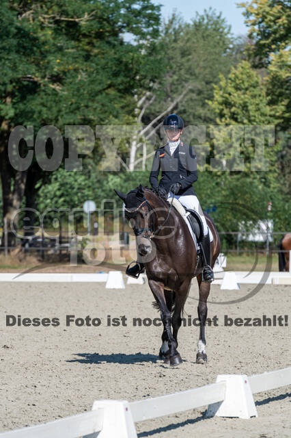 Kronenberg - De Peelbergen (August 2020)