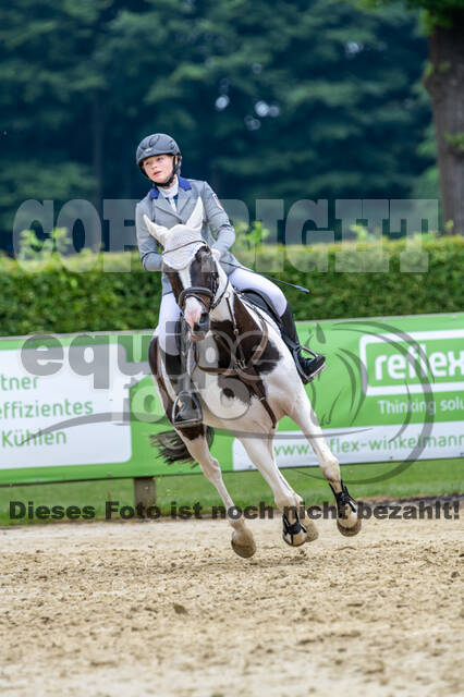 Goldene Schärpe 2021 - Ponys