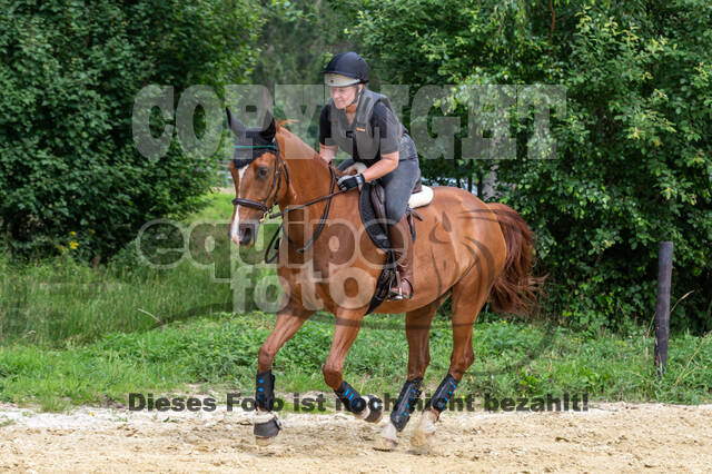 Hunter Geländetraining 10.07.2021 (Sonsbeck)