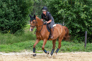 Hunter Geländetraining 10.07.2021 (Sonsbeck)