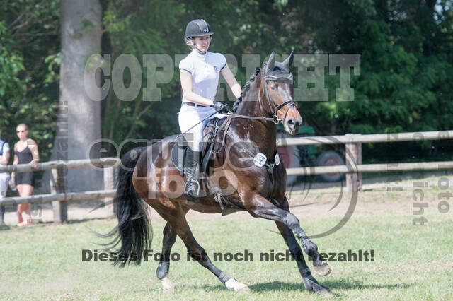 Vielseitigkeitsturnier ZRuFV von Lützow Hamminkeln