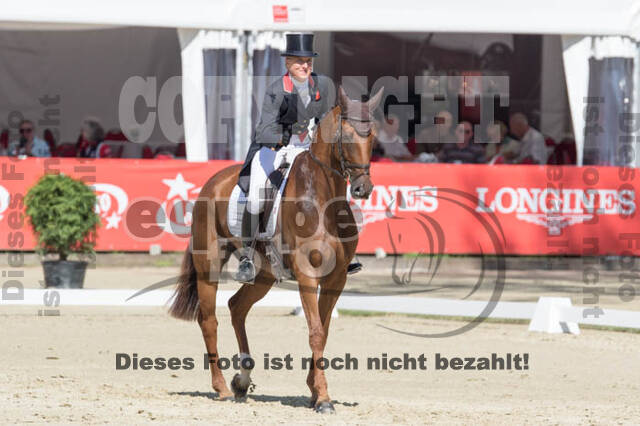 FEI European Championship Eventing 2017