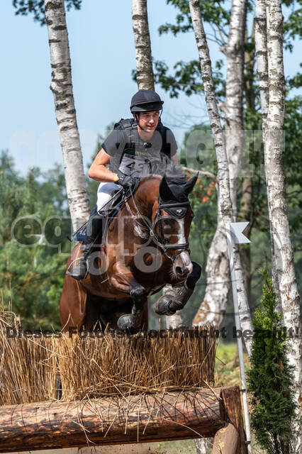 De Peelbergen (August 2020)