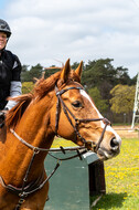 Geländetraining ZRFV Hamminkeln (24+25.04.2021)