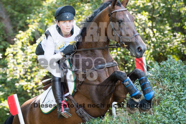 Vielseitigkeitsturnier RSV St. Hubertus Wesel Obrighoven