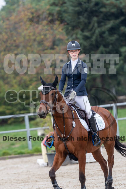 Goldene Schärpe 2020 - Pferde