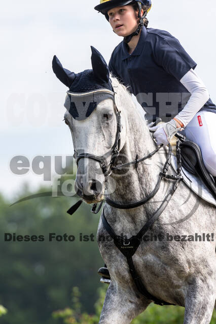 Goldene Schärpe 2021 - Ponys