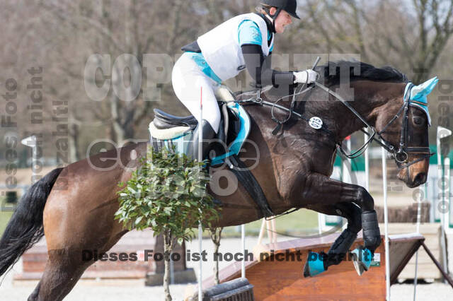 Eventing Langenfeld 2018
