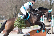 Eventing Langenfeld 2018