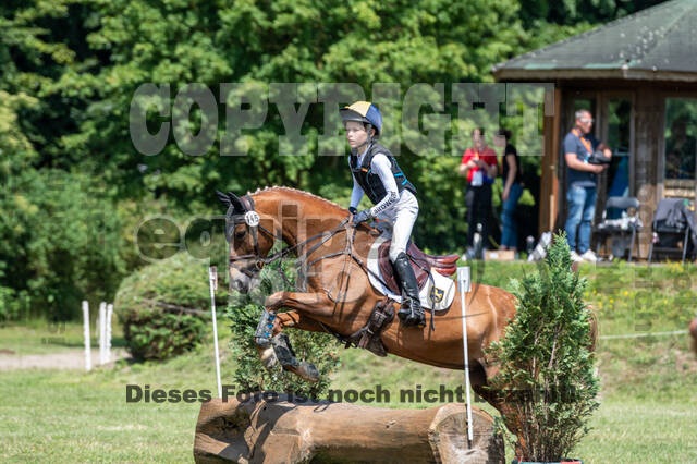 Goldene Schärpe 2021 - Ponys