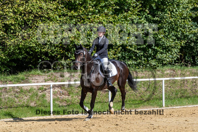 RFV Dinslaken-Hiesfeld (Herbstturnier)