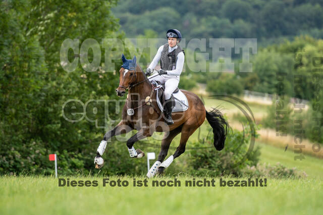 Bonn-Rodderberg Late-Entry-Vielseitigkeit (30.06.2020)