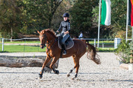 IGV Lehrgang der Sieger der Cups mit Frank Ostholt