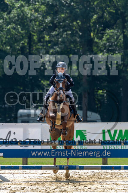 Goldene Schärpe 2021 - Ponys