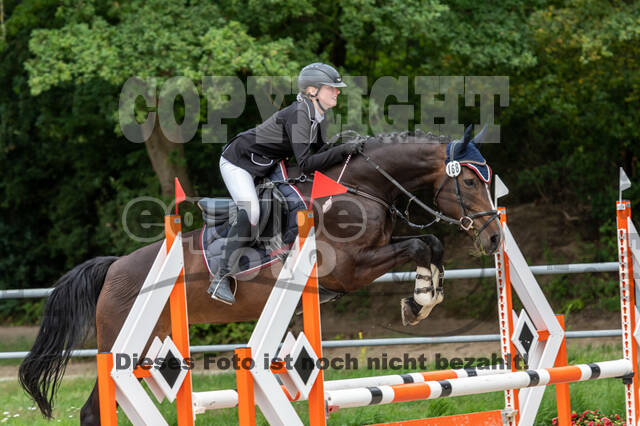 Late-Entry-Vielseitigkeit Langenfeld (06.+07.07.2020)