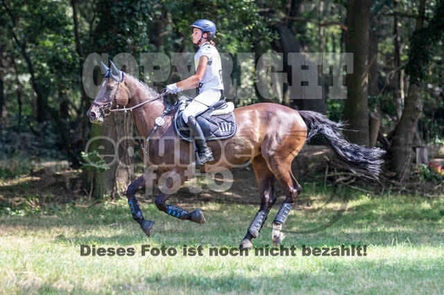 Late-Entry Vielseitigkeit Hamminkeln/Wesel (01.+02.08.2020)