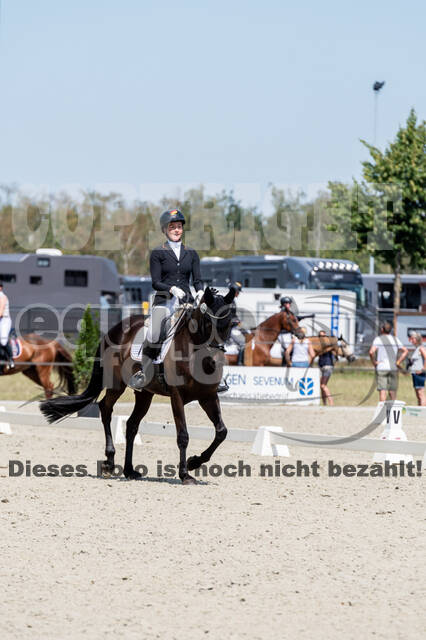 Kronenberg - De Peelbergen (August 2020)