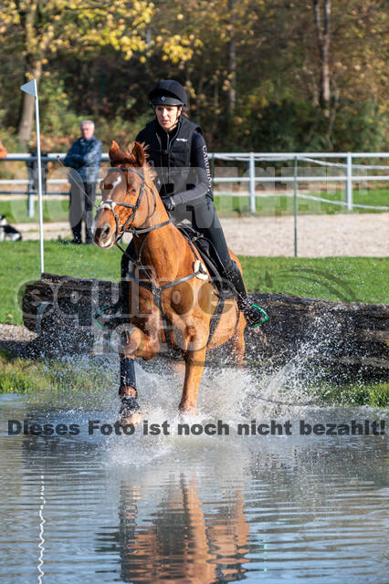 IGV Lehrgang der Sieger der Cups mit Frank Ostholt