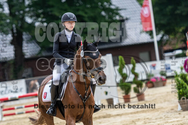Goldene Schärpe 2021 - Ponys