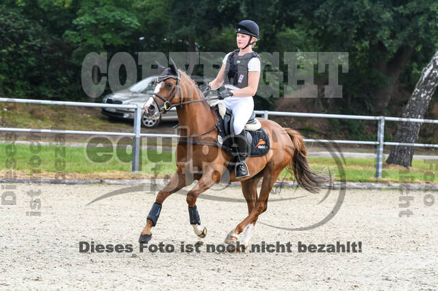 Late-Entry-Vielseitigkeit Langenfeld (11.+13./14.06.2020)