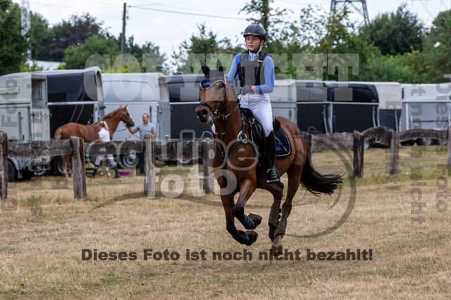 Late-Entry Vielseitigkeit Hamminkeln/Wesel (01.+02.08.2020)