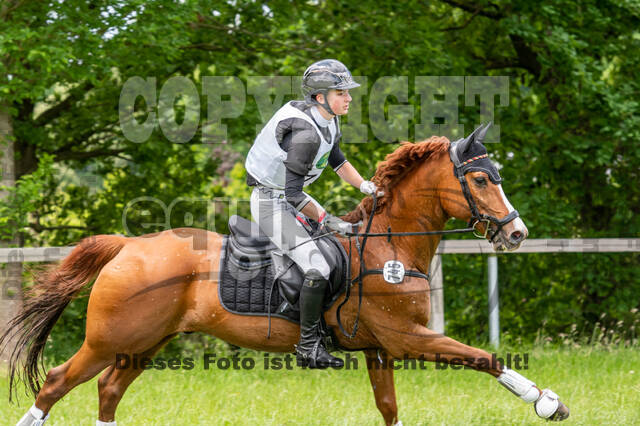 Westerstede Horse Trials 2021