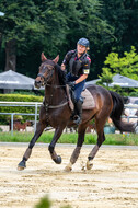 Hunter Geländetraining 10.07.2021 (Sonsbeck)