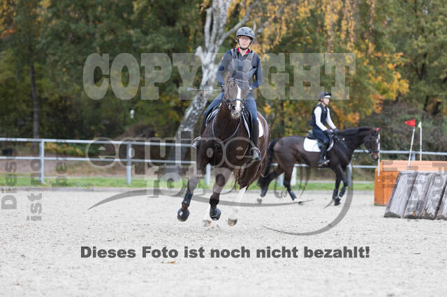 IGV Lehrgang der Sieger der Cups mit Frank Ostholt