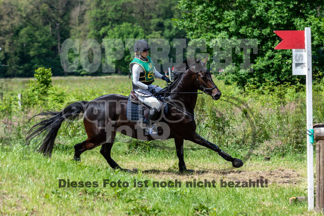 Westerstede Horse Trials (10.-13.06.2021)