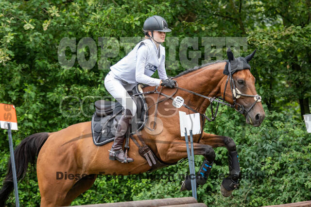 Late-Entry-Vielseitigkeit Gahlen (18.07.2020)