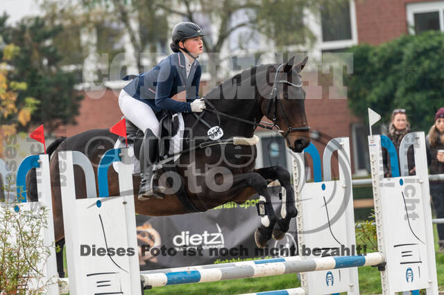 Goldene Schärpe 2020 - Pferde