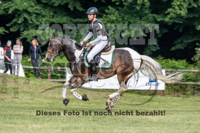 Goldene Schärpe 2021 - Ponys