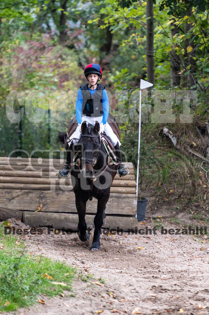 Goldene Schärpe 2020 - Pferde