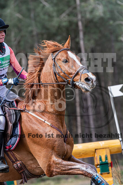 Kronenberg - De Peelbergen (02.04.2022)