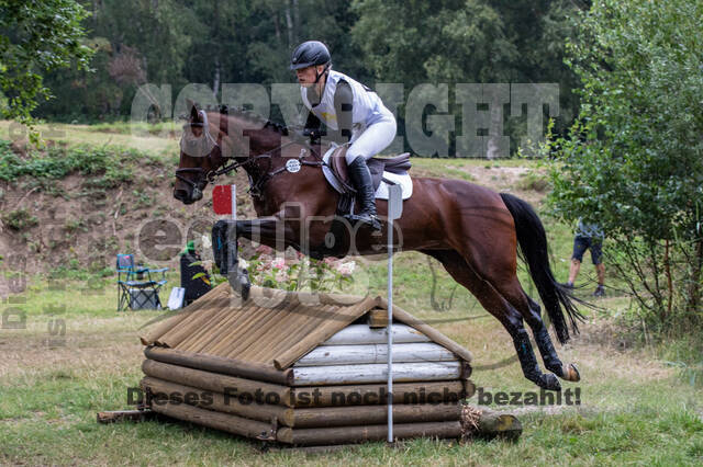Late-Entry Vielseitigkeit Hamminkeln/Wesel (01.+02.08.2020)