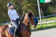 IGV Lehrgang der Sieger der Cups mit Frank Ostholt