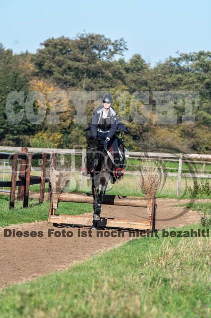 Vielseitigkeitslehrgang mit Jürg Kurbel (9.+10.11.2019)