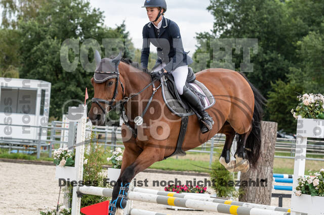 Late-Entry-Vielseitigkeit Langenfeld (06.+07.07.2020)