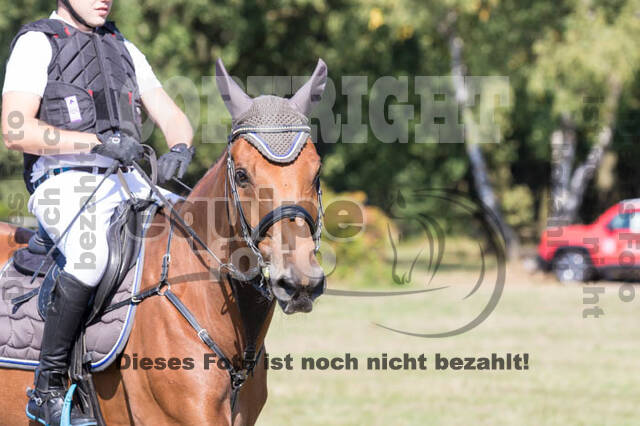 Vielseitigkeitsturnier RSV St. Hubertus Wesel Obrighoven