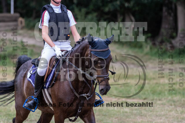 Late-Entry Vielseitigkeit Hamminkeln/Wesel (01.+02.08.2020)