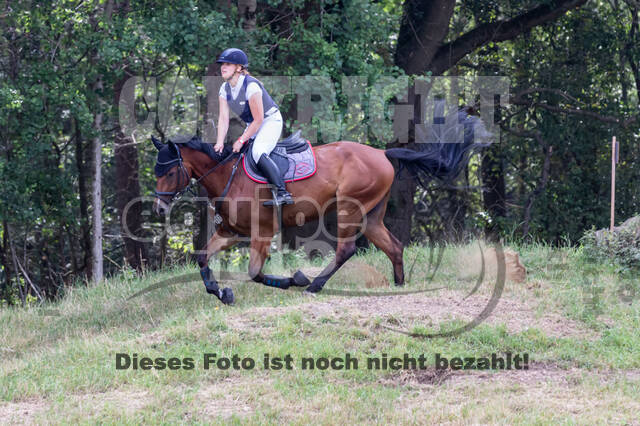 Late-Entry Vielseitigkeit Hamminkeln/Wesel (01.+02.08.2020)